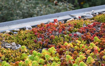 the cost of Bentilee green roof installation