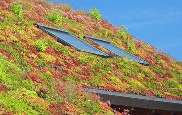 Bentilee living roof systems